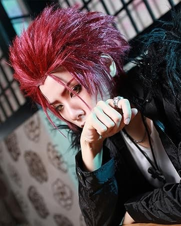 Short Roleplay Wig Fluffy Straight Synthetic Fiber Anime Wig Unisex Halloween Comic Convention Party Costume Wig