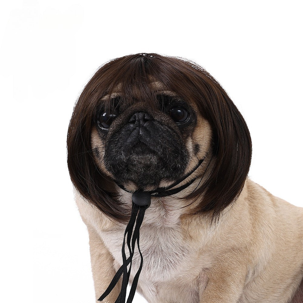 Peruca para Animais de Estimação, Peruca para Cachorro, Suprimentos para Animais de Estimação, Acessórios de Halloween para Animais de Estimação, Peruca de Cabelo Cacheado, Cabelo Liso, Peruca para Gato, Pode Ser Aparada (DIY)