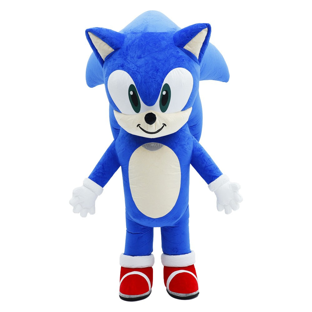 Inflatable Cartoon Hedgehog Costume Mascot Parade Adult Character Cosplay Animal Birthday Halloween Party Event Plush Set