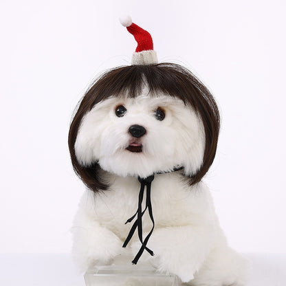Peruca para Animais de Estimação, Peruca para Cachorro, Suprimentos para Animais de Estimação, Acessórios de Halloween para Animais de Estimação, Peruca de Cabelo Cacheado, Cabelo Liso, Peruca para Gato, Pode Ser Aparada (DIY)