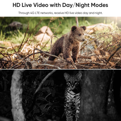LS VISION 4G /WFII Solar Security Cameras Wireless Outdoor  2K HD Video Surveillance Color Night Vision Human/Animal Detection
