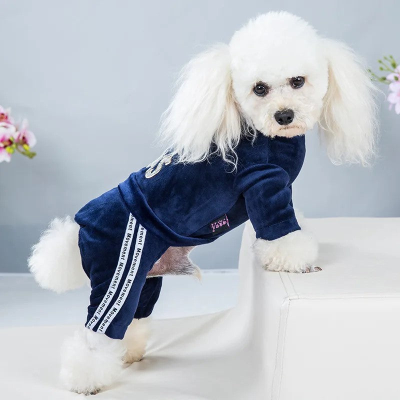 Roupa de cachorro para cães pequenos, gatos, roupas de inverno quentes para animais de estimação, macacão de veludo macio, moletom com capuz para filhotes, macacão para Chihuahua