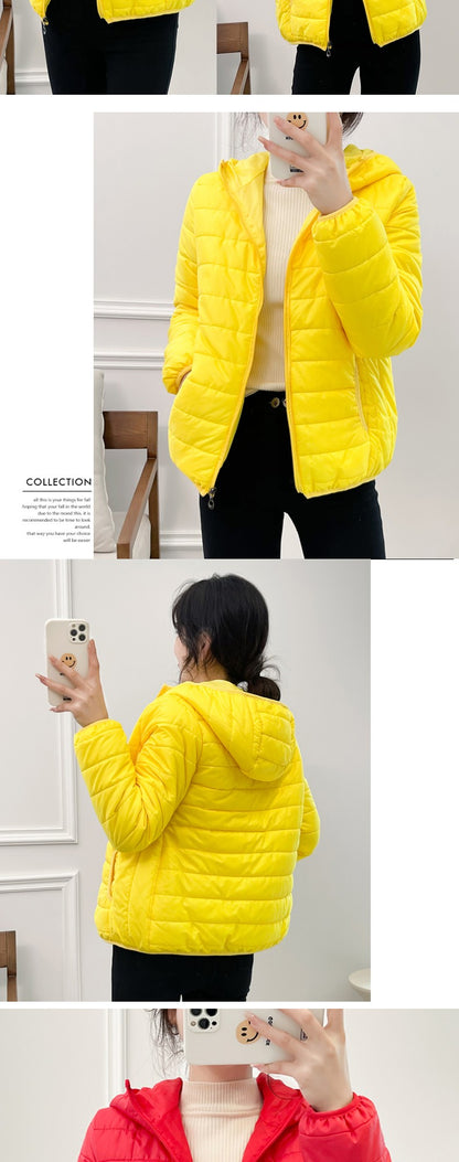 Minimalist Light Weight Women Down Cotton Jackets 2024 New Winter Korean Style Hooded Quilted Parkas Female Windbreaker Outwear