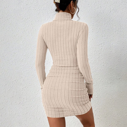 Solid Dresses Autumn Winter New Women Long Sleeves Turtleneck Sexy Bodycon Sheath Mini Dress Club Elegant Party Knitted Dresses
