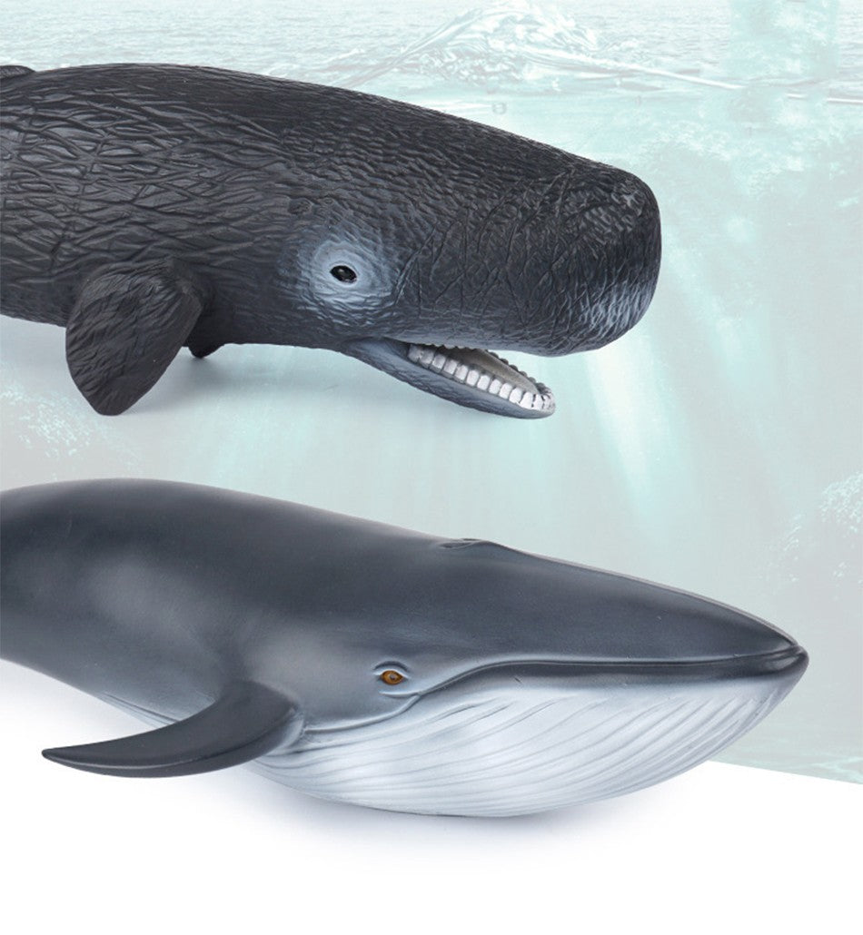 Grandes Animais Marinhos Baleia Jubarte Golfinho Assassino Baleia Azul Agite Cachalote Modelo Bonecos de Ação Tartaruga Marinha Pinguim Brinquedos Educacionais