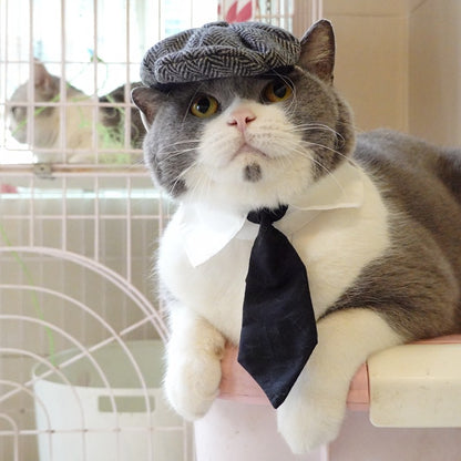 Chapéu Engraçado Para Gatos de Estimação, Boina, Gravata Borboleta, Fantasia de Banho, Gângster Bonito, Adereço de Foto, Fantasia de Halloween Para Animais de Estimação