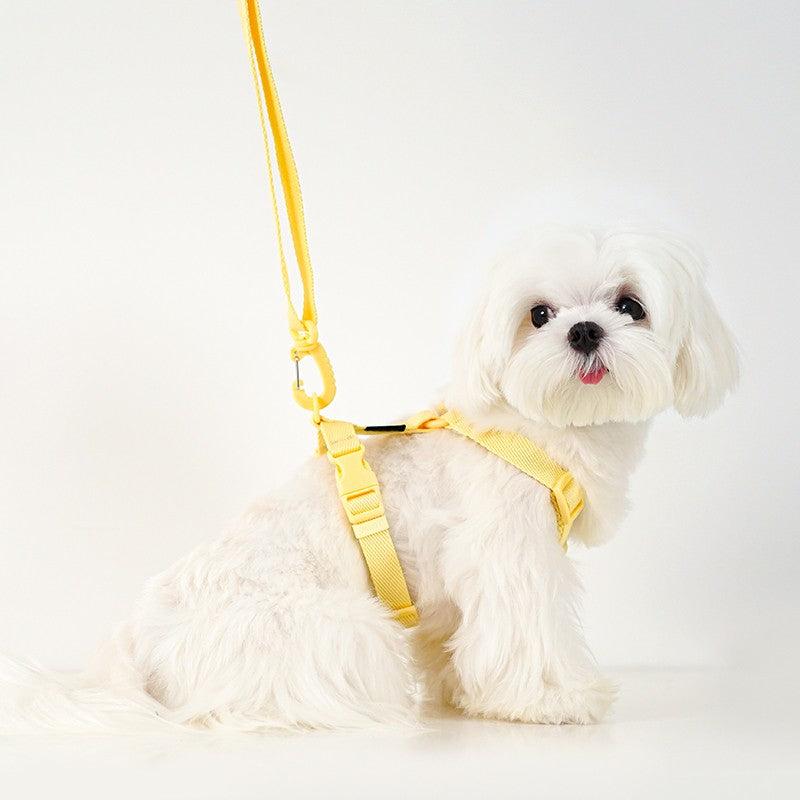 Conjunto de Coleira e Guia Ajustável para Cães Cor Macaron, Acessórios Reflexivos para Cães Pequenos para Filhotes e Gatos, Passeio com Animais de Estimação