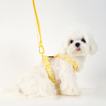 Conjunto de Coleira e Guia Ajustável para Cães Cor Macaron, Acessórios Reflexivos para Cães Pequenos para Filhotes e Gatos, Passeio com Animais de Estimação