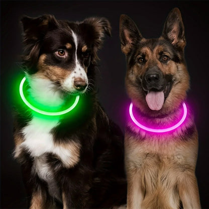 Coleira Luminosa LED para Cães e Gatos, Recarregável USB, Noturna, Anti-perda, Para Cães e Gatos de Pequeno, Médio e Grande Porte, Acessórios de Segurança para Animais de Estimação