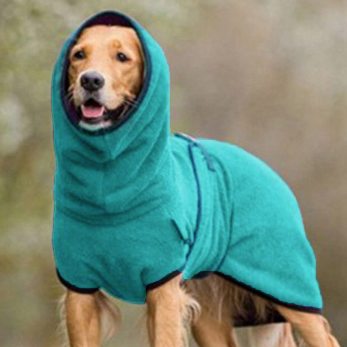 Casaco de Inverno para Cães, Genérico, para Whippet, Galgo, Jumper Aconchegante de Lã, Casaco e Roupa para Lurcher com Forro Quente, Faixa Ajustável M