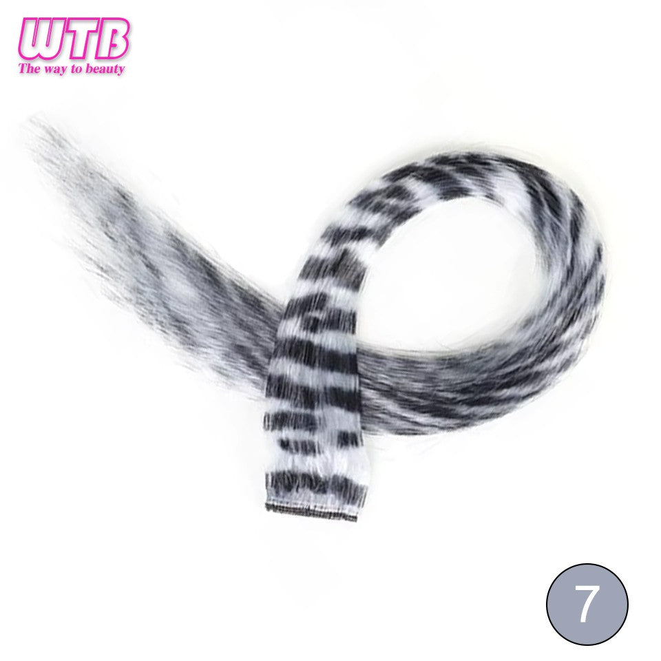 Synthetic One Card Hair Extension Wig Hair For Women Long Straight Clip-in Colored Zebra Line Feather Hair Extensions Fake Hair