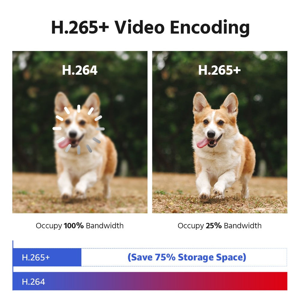 ANNKE 4K 8MP POE Surveillance Camera Dual Lens outdoor poe camera 1/2/4PCS Color Night Vision CCTV Video Security Camera For NVR