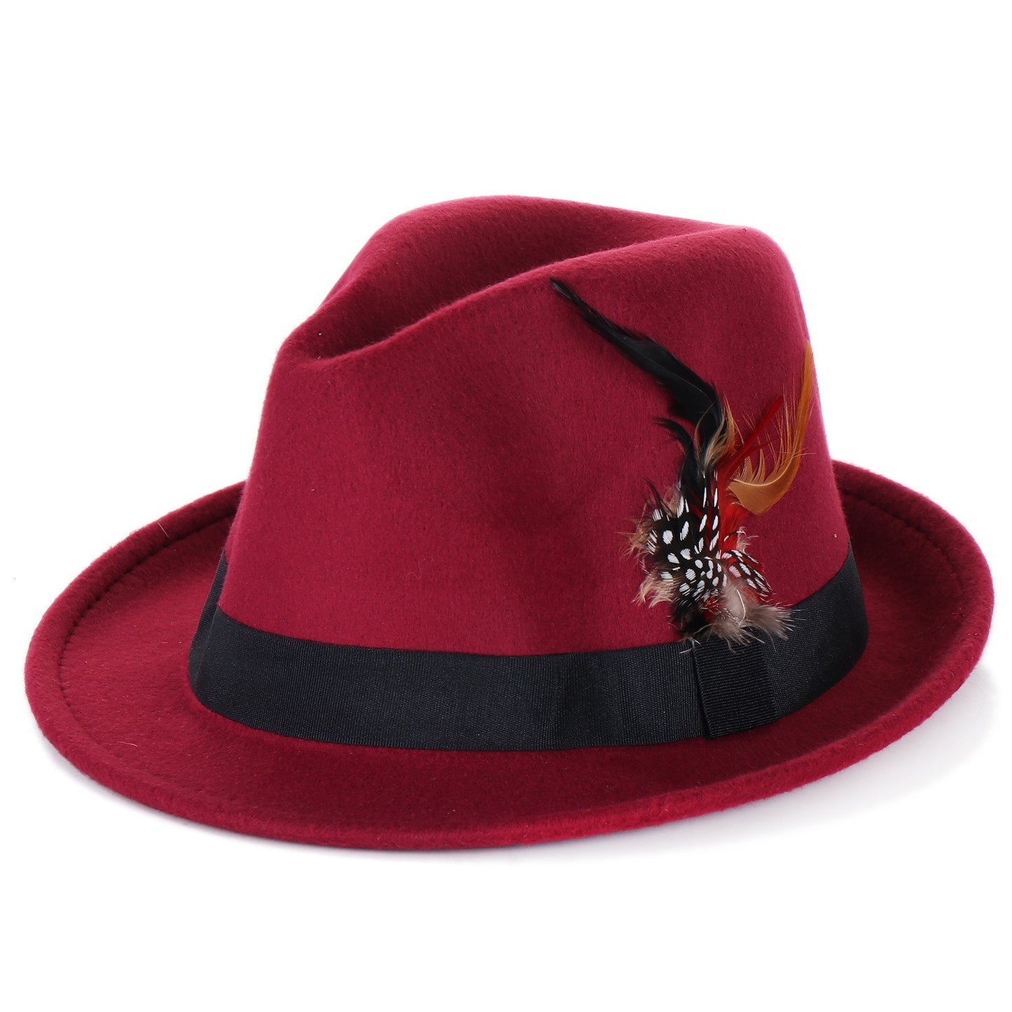 Bow-Knot Feather Hat Autumn and Winter Upturned Brim Hat Fashionable Men's and Women's Cashmere Felt Hat, Ethnic Style New Hat