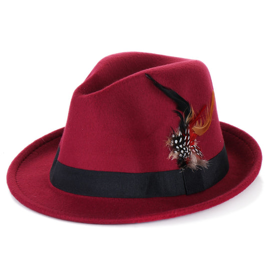 Bow-Knot Feather Hat Autumn and Winter Upturned Brim Hat Fashionable Men's and Women's Cashmere Felt Hat, Ethnic Style New Hat