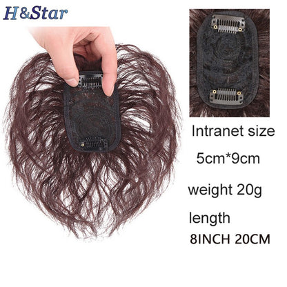 H&STAR Aplique Sintético com Presilha de 8 Polegadas para Mulheres com Cabelos Ralos - Aumenta o Volume do Cabelo, Curto e Cacheado