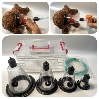 Máscara de oxigênio para cães de estimação, inalação de oxigênio para cães e gatos, experimento de nebulização para animais de estimação, clínica de inalação de oxigênio para animais, primeiros socorros