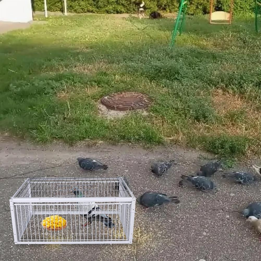 Gaiola de Pássaro Armadilha Automática Gaiola de Coelho Gaiola de Rato Entrada Somente Sem Saída Engrossada Criptografada Coleta Automática de Pombos Gaiola Portátil Para Pássaros