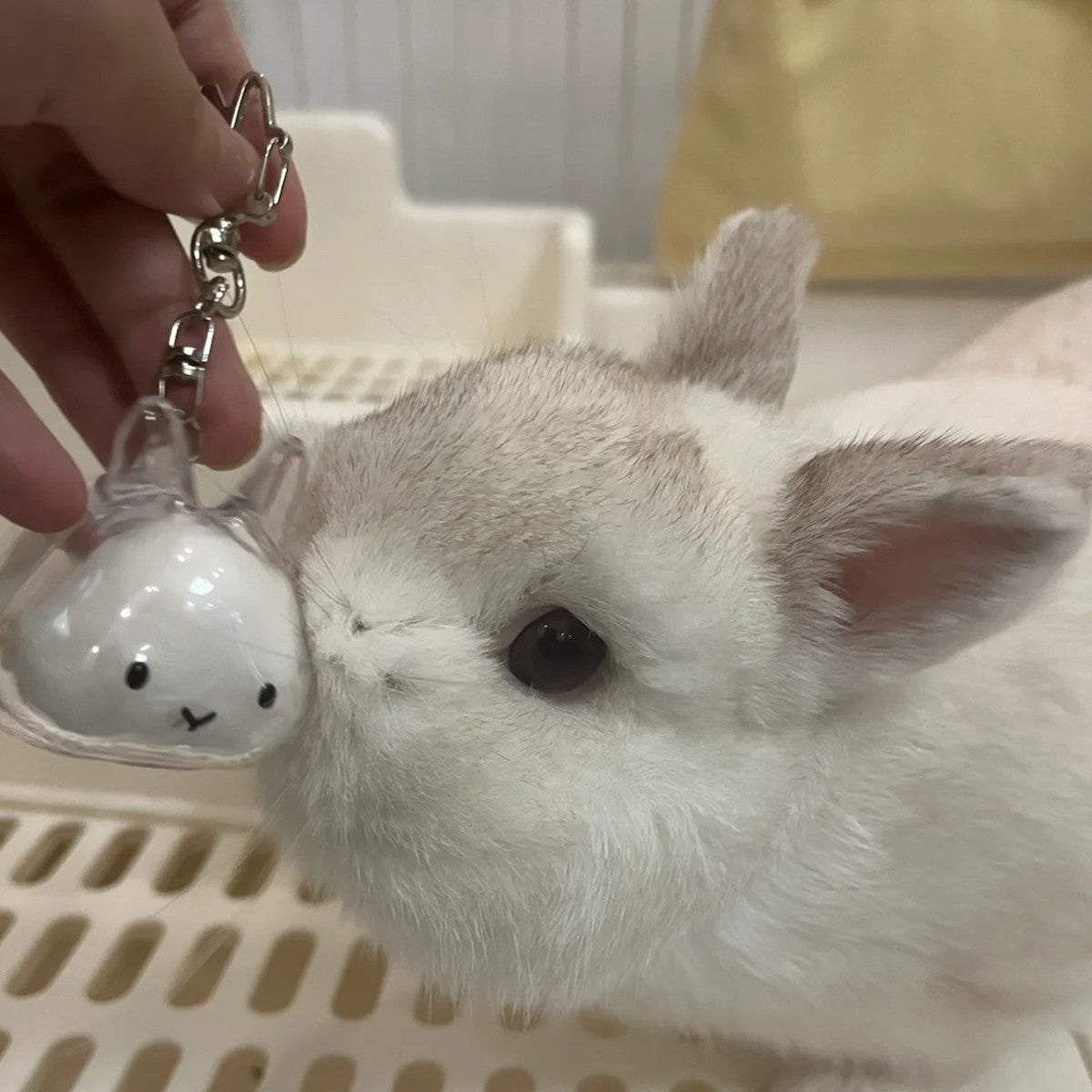 Transparent Rabbit Hair Keepsake Bottle Pet Hair Storage Capsule Keychain Thoughtful Gift for Rabbit Lovers And Owners