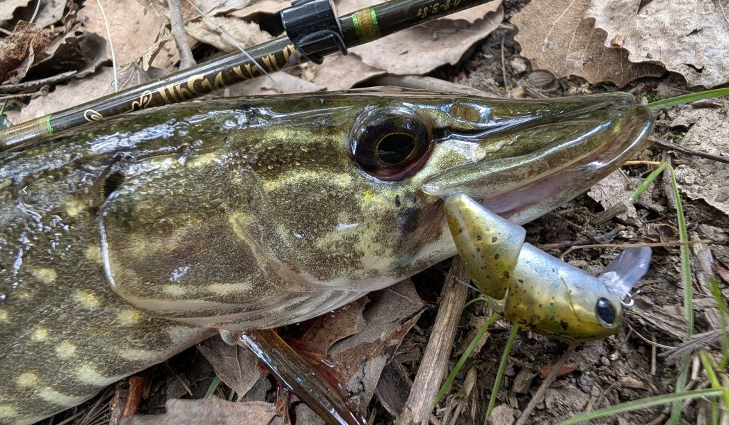Isca Artificial Kingdom Micro Expert para Pesca 2.3g 37mm Minnow Articulado Flutuante Isca Rígida Swimbait Crankbait de Superfície Isca para Truta