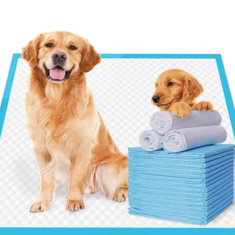 Tapetes Higiênicos Espessos Absorventes para Cães Filhotes à Prova de Vazamento Secagem Rápida Tapete de Urina Descartável