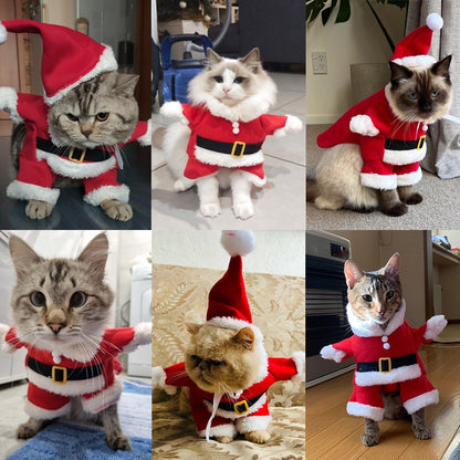 Roupa de Natal para Gatos Engraçada Fantasia de Cosplay para Gato e Cachorro de Estimação Roupa de Papai Noel de Ano Novo para Filhotes e Gatinhos Roupinhas de Inverno para Chihuahuas