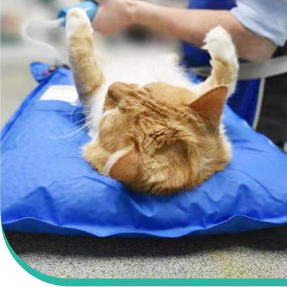 Acessórios cirúrgicos para animais Tapete de posicionamento a vácuo para animais de estimação Almofada de exame veterinário pequena Sala de cuidados com animais de estimação