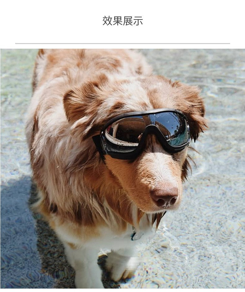 Óculos transparentes para cães de estimação à prova d'água, à prova de vento, protetor solar, resistente a raios UV para cães grandes