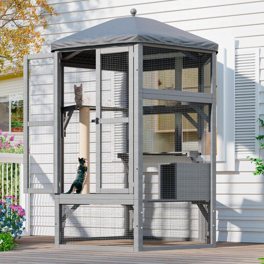 Recinto para Gatos ao Ar Livre, Catio Grande Interno para Vários Gatos com Acesso à Janela e Teto Impermeável, Inclui Casa para Gatos, Mul