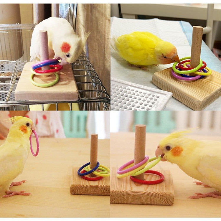 Conjunto de Brinquedos de Treinamento para Pássaros, Quebra-cabeça de Blocos de Madeira para Papagaios, Anéis Plásticos Coloridos, Brinquedo de Mastigar para Treinamento de Inteligência, Suprimentos para Pássaros