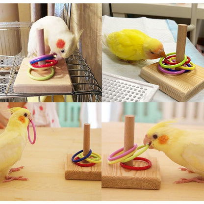 Conjunto de Brinquedos de Treinamento para Pássaros, Quebra-cabeça de Blocos de Madeira para Papagaios, Anéis Plásticos Coloridos, Brinquedo de Mastigar para Treinamento de Inteligência, Suprimentos para Pássaros