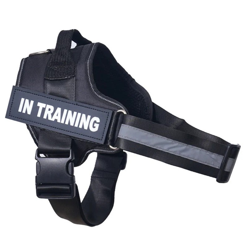 Coleira Personalizada para Cães Colete Reflexivo Ajustável Sem Puxar para Cães de Pequeno Médio Grande Porte, Atacado