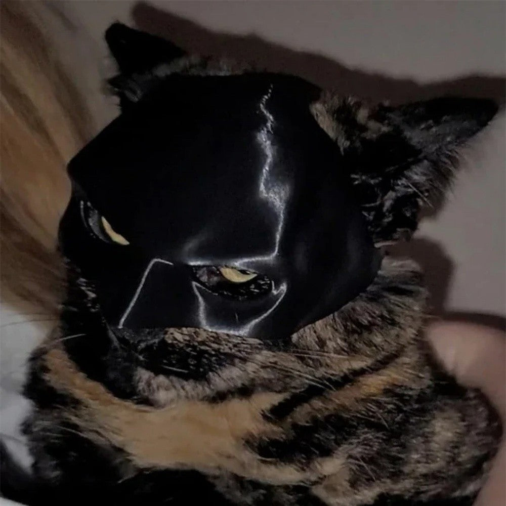 Máscara de Gato Morcego Preta de Halloween Máscara de Morcego Fosca Fofa Brinquedos Pet Legais para Gato Máscaras de Cosplay Engraçadas para Pet Acessórios para Fotos de Pet