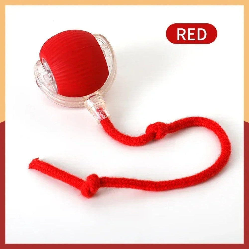 Brinquedo para Gato Bola Interativa Inteligente para Pets Brinquedos para Gatos Internos Bola Mágica de Rolamento Automático Brinquedo Eletrônico Interativo Acessórios para Gatos