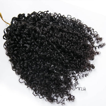 12A Small Spirals Curly Crochet Human Hair Extensions Deep Pixie Curls Crochet Hair Pre Separated Knotless For Braiding Twist