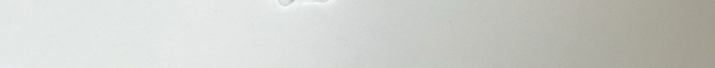 New Sun Hat Women's Uv Protection Sun Hat Summer Empty Cap Large Brim Outdoor Cycling Face Shade Hat Woman