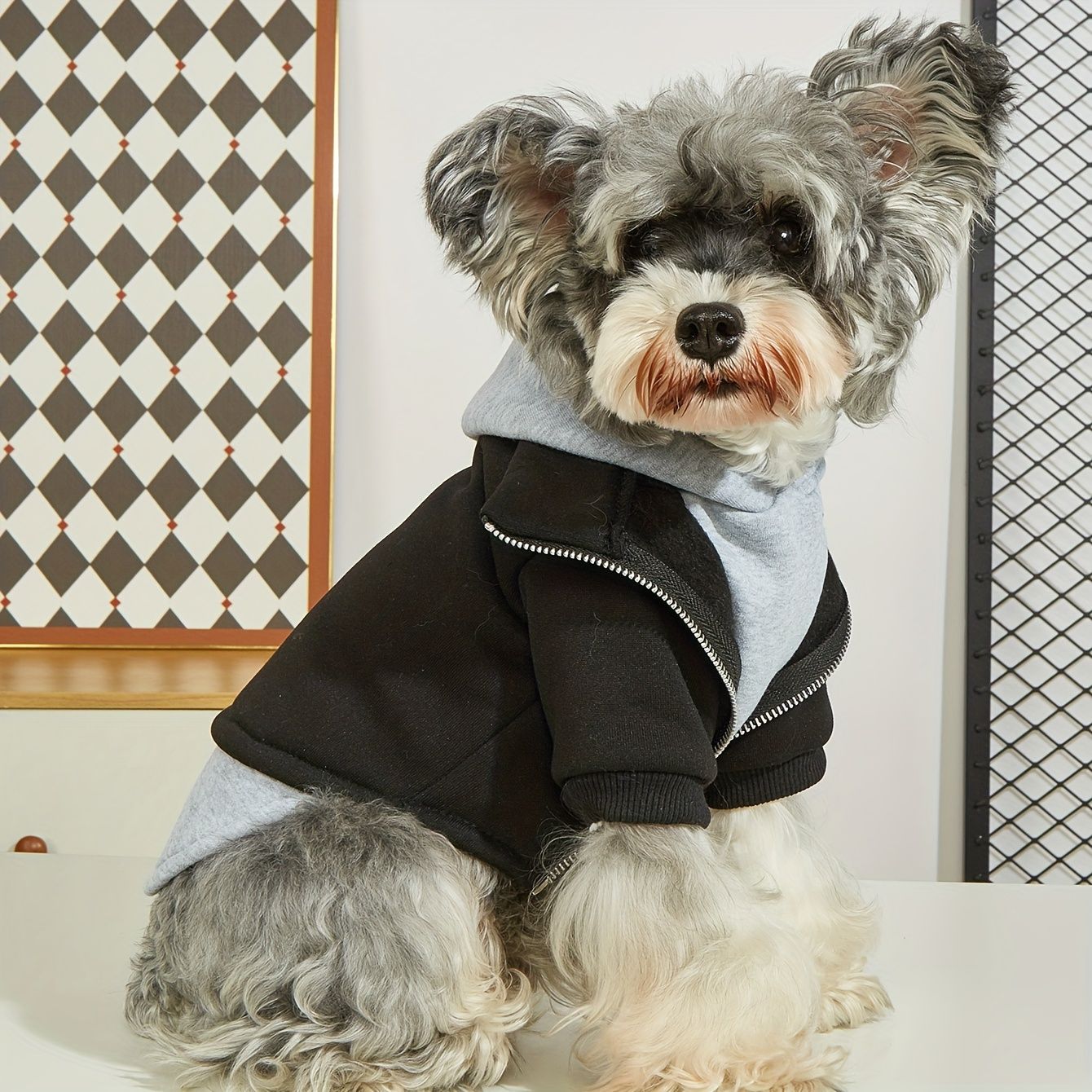 Roupas de Inverno para Cães Moletom Quentinho para Pets Casaco de Cachorro Confortável e Moderno para Cães Pequenos e Médios