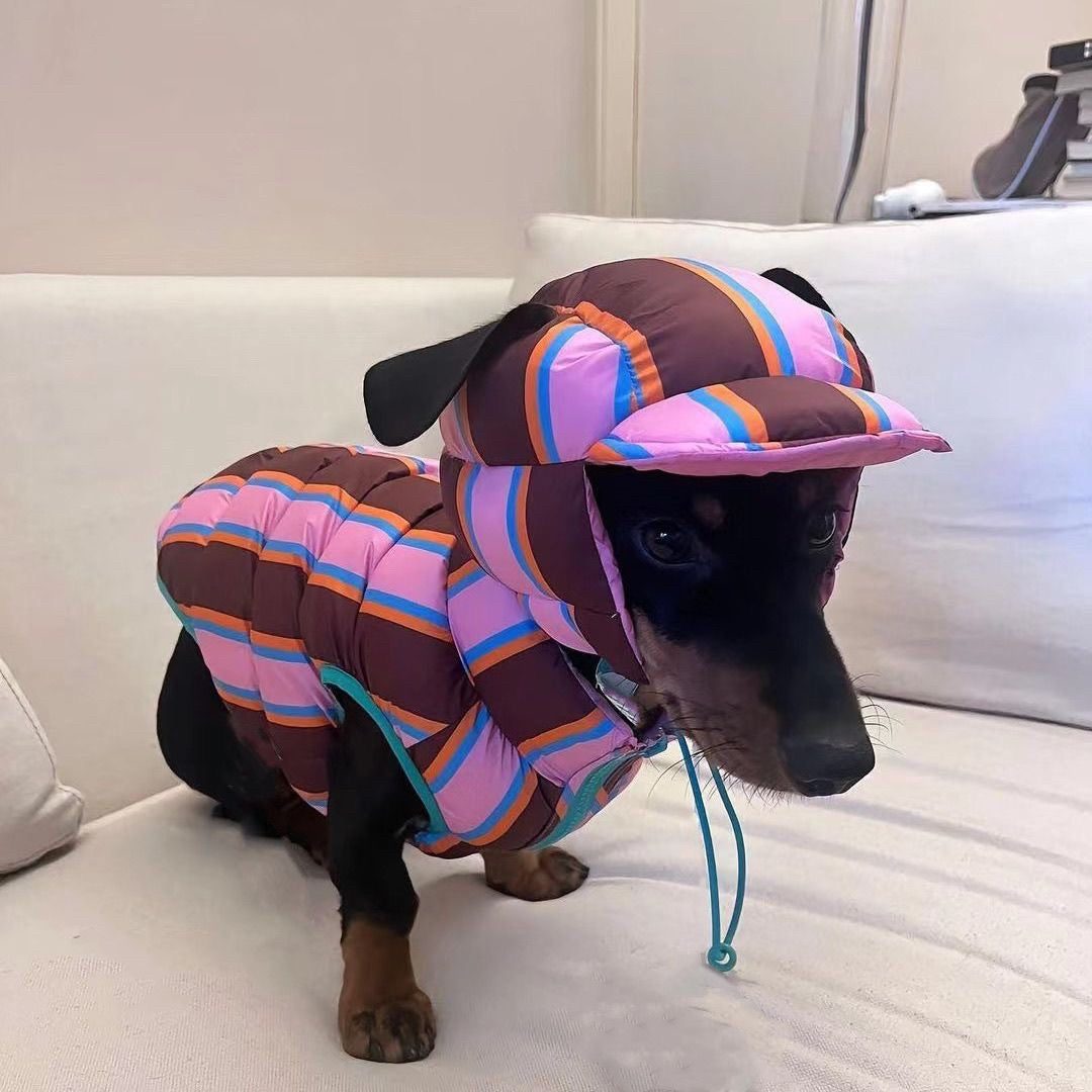 Casaco de Algodão Quente de Inverno Para Cães Pequenos e Médios Filhotes Bichon Teddy Colete Colorido Casaco Jaqueta Roupa de Natal Quente Para Animais de Estimação