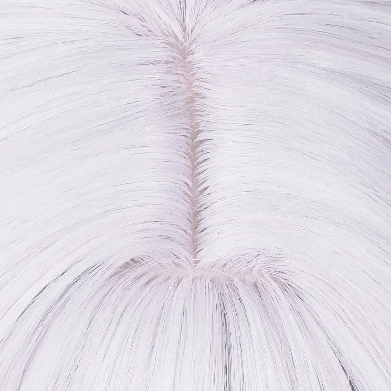 Anime Frieren Cosplay Wig Silver White Two Ponytails Heat Resistant Synthetic Hair Wigs