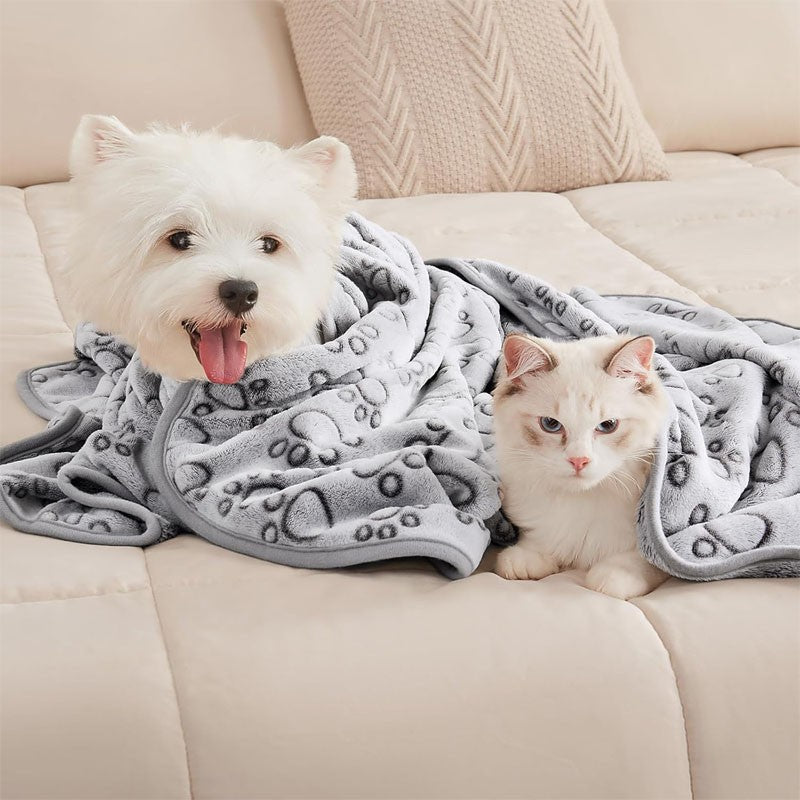2 Peças Macia Fofa Manta para Pets de Alta Qualidade Desenho Animado Bonito Pata Tapete para Cães Gatos Quente e Confortável