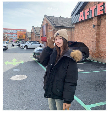 Winter Solid Long Sleeve Hooded Down Cotton Coat Tops Korean Women's Single Breasted Zipper Hooded Cardigan Short Jacket Thick