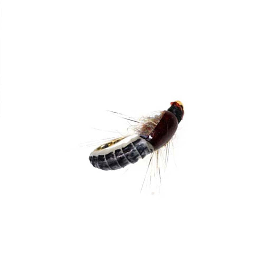 Iscas de Pesca-6/9 Peças/Caixa Ninfa Realista Isca de Camarão para Pesca de Truta Isca Artificial