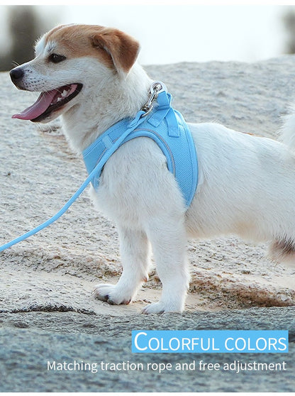 Dog Harness Leash Set for Small Medium Dog Adjustable Reflective Puppy Cat Harness pet Vest Chihuahua Dachshund Outdoor Walking