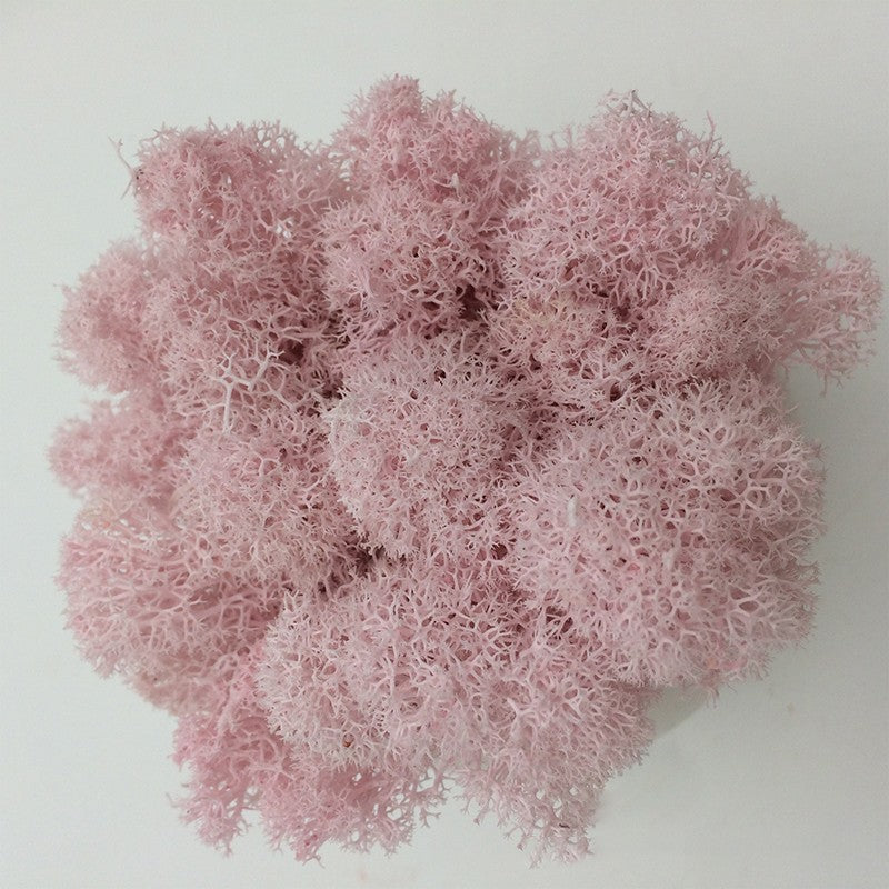 200/1000g Quality Artificial Green Plant Eternal Life Moss Fake Flower Moss Grass Home Living Decorative Wall DIY Micro Landscap
