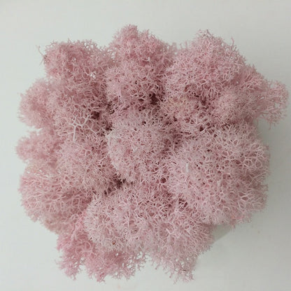 200/1000g Quality Artificial Green Plant Eternal Life Moss Fake Flower Moss Grass Home Living Decorative Wall DIY Micro Landscap
