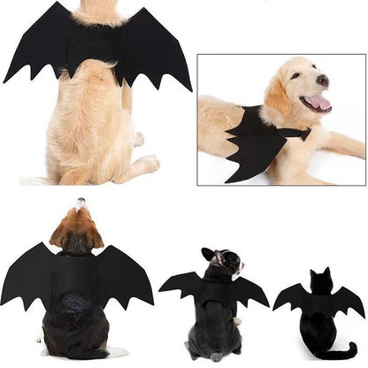 Asas de Morcego para Cães e Gatos para Decoração de Festa de Halloween, Coleira de Estimação, Fantasia de Morcego para Cosplay, Acessórios Fofos para Cães e Gatos.