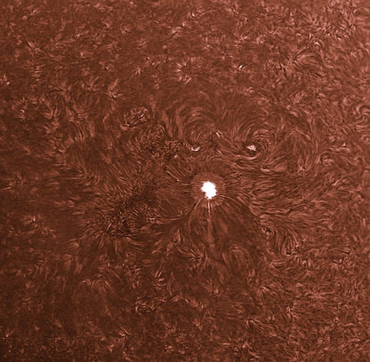 Telescópio Refrator Svbony SV503 102ED OTA com Espelho Diagonal SV223 de 2 polegadas e 90 graus para Astrofotografia de Céu Profundo