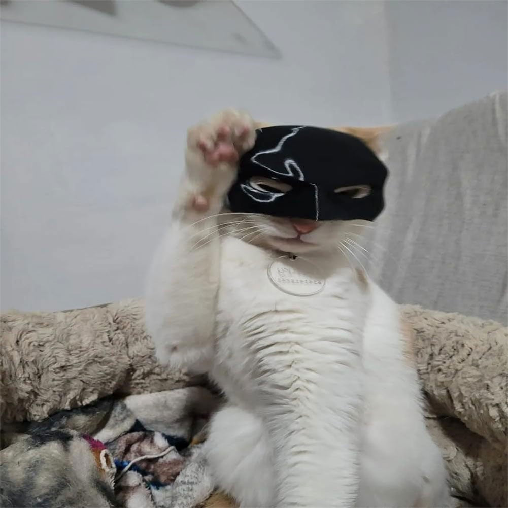 Máscara de Gato Morcego 9-13cm, Máscara de Gato Vingador, Máscara de Morcego Fosca Fofa, Brinquedos de Super-Herói, Fantasia de Gato Morcego para Gatos, Suprimentos para Animais de Estimação