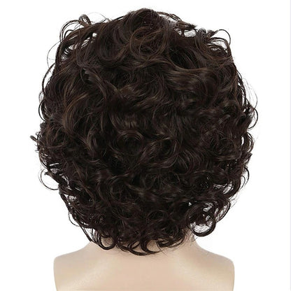 HAIRJOY Jon Snow Cosplay Wigs for Men Women Heat Resistant Fiber Synthetic Hair Curly  Anime Wigs