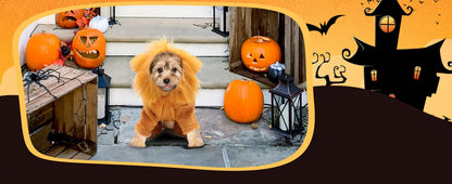 ATUBAN Dog Lion Costume Pet Clothes for Party Simulation Lion Pet Outfits,Cosplay Dress up Pet Lion Hoodie Cat Costume for Party