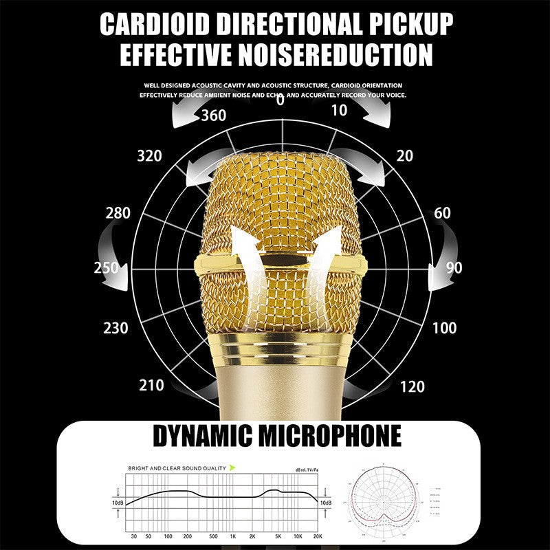 Microfone Sem Fio Xiaomi 2.4G UHF Frequência Fixa 2 Canais Microfone de Mão Para Festa Ao Vivo Karaokê Reunião Profissional